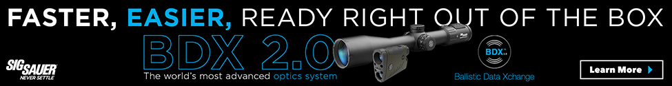 SIG BDX 2.0